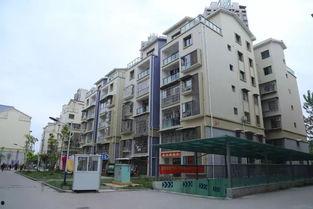 城南小区最新爆料信息网,揭秘神秘事件背后的真相